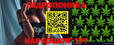 соль ск Рыбинск