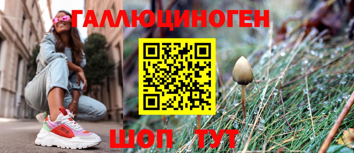 Ржев  Галлюциногенные грибы Psilocybe  Вход с VPN 