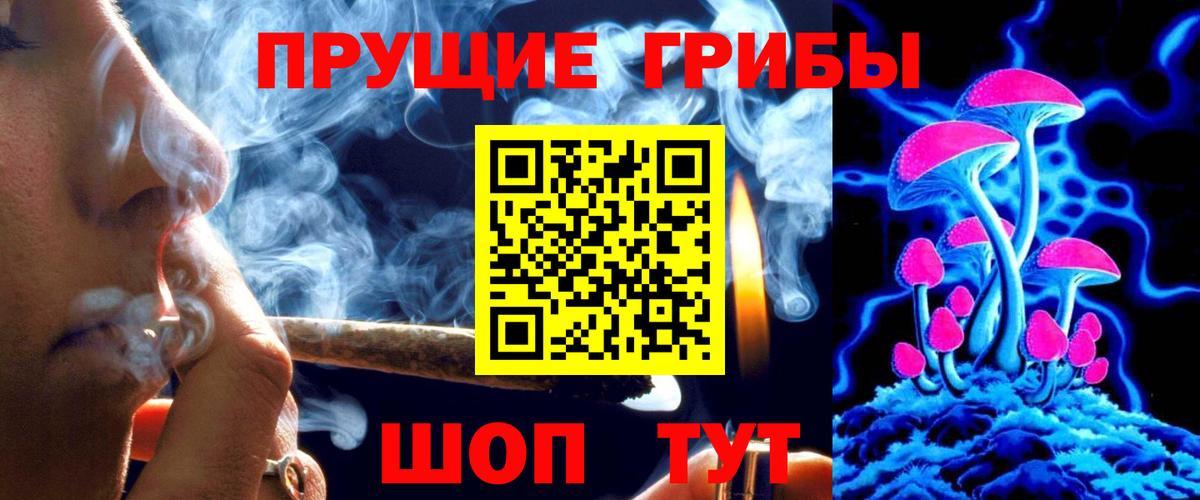 Галлюциногенные грибы Psilocybine cubensis Ржев